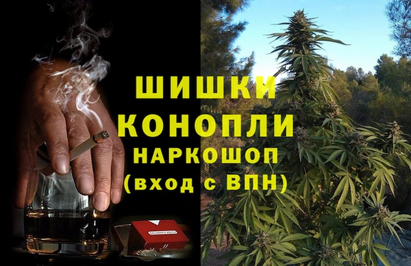стаф Белоозёрский