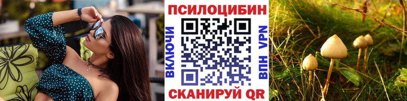 купить   Первомайск  Псилоцибиновые грибы Magic Shrooms 